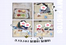 3.13.(수) 클로버체험 알콩이 달콩이