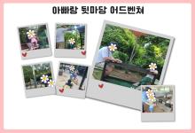 아빠랑 뒷마당 어드벤쳐