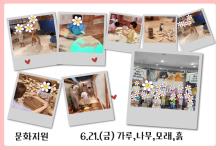 6.21.(금) 가루,나무,모래,흙